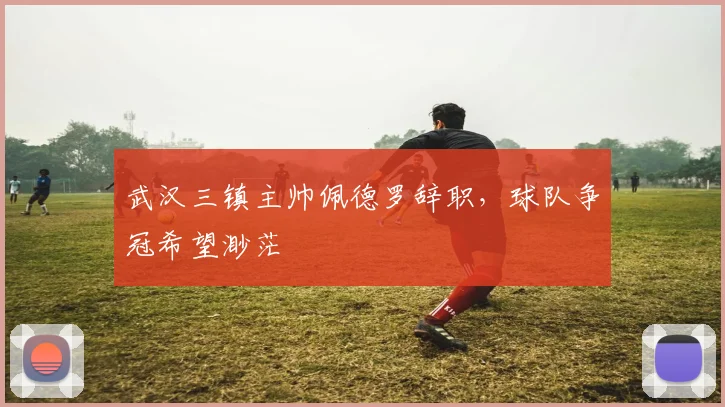 武汉三镇主帅佩德罗辞职，球队争冠希望渺茫